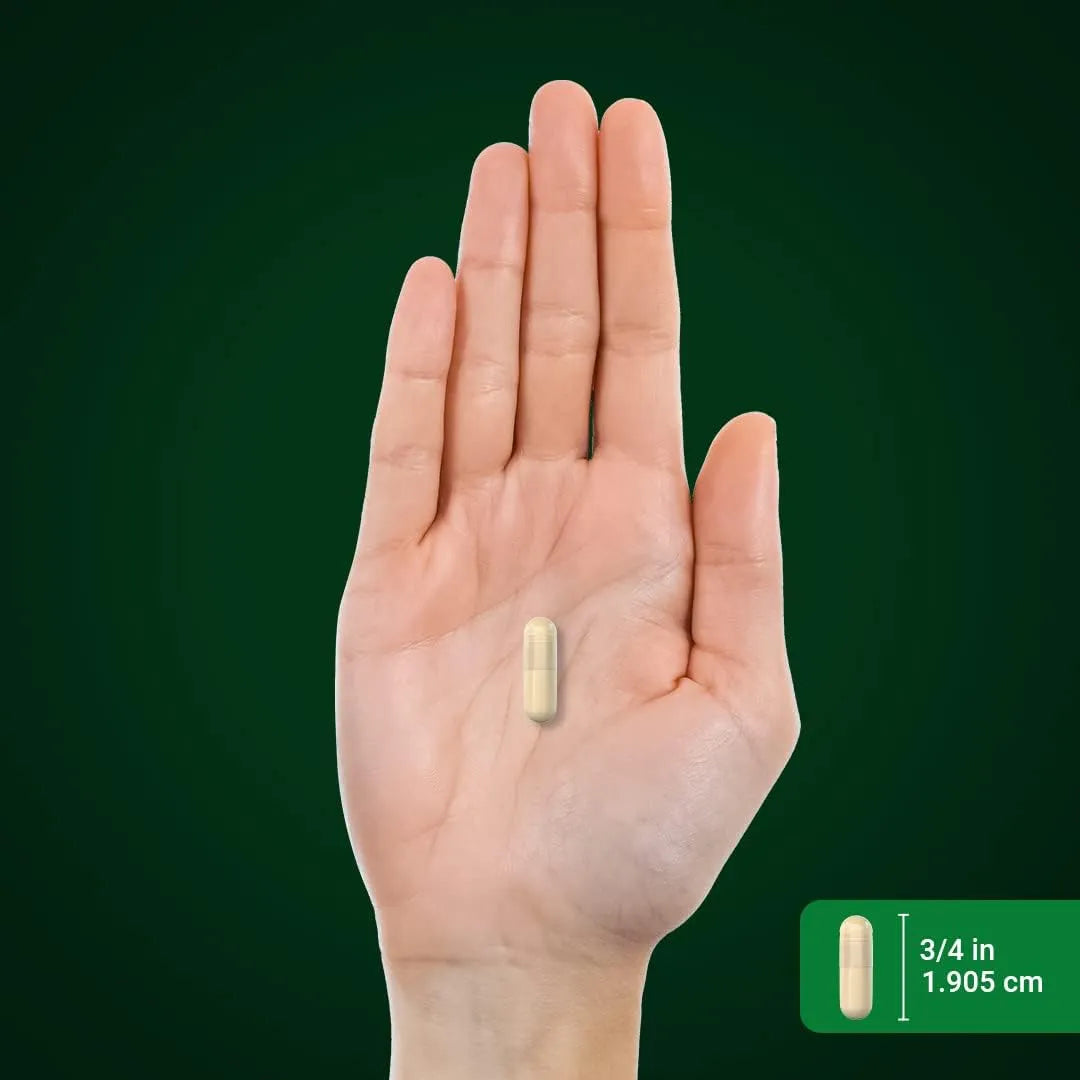 Extracto De Cissus Quadrangularis 1800mg 200 Cápsulas Ultra Concentrado Sin OMG Ni Gluten