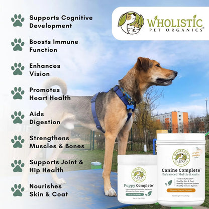 Multivitaminico En Polvo Para Perros 900g Nutrientes Esenciales Piel Y Digestión