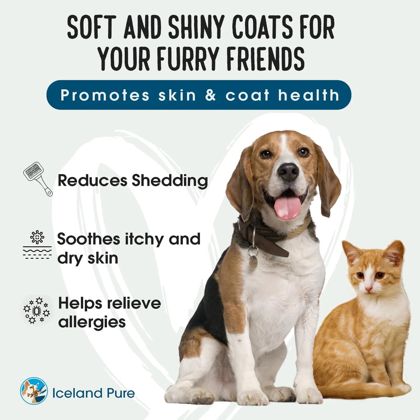 Aceite De Salmón Salvaje De Alaska Para Perros Y Gatos Suplemento Líquido Omega 3