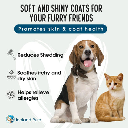 Aceite De Salmón Salvaje De Alaska Para Perros Y Gatos Suplemento Líquido Omega 3