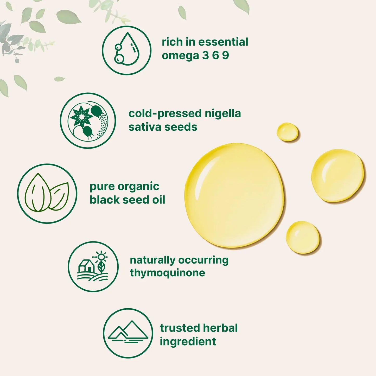Aceite De Semilla Negra Orgánico 16 Onzas Prensado En Frío Rico En Omega 3 6 9