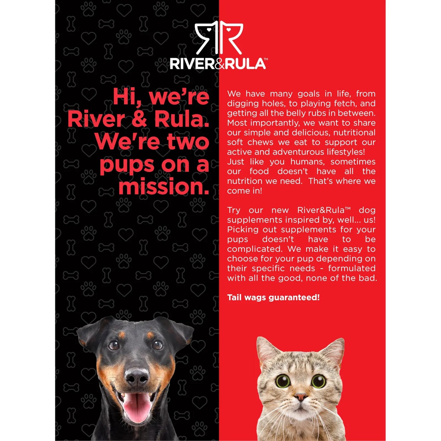 Multivitaminas Masticables Para Perros Y Gatos 120 Tabletas River Rula