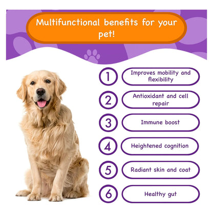 Vitaminas Multifuncionales Para Perros Con Silymarina Mejora Articulaciones Piel Y Digestión