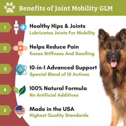 Suplemento Wholistic Pet Organics Movilidad Articular Con Mejillon De Labios Verde Para Perros Alivia Dolor Y Rigidez