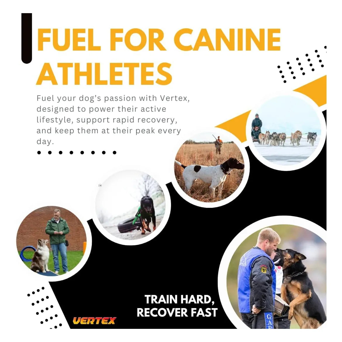 Suplemento Vertex Para Perros Proteina Predigerida Recuperacion Muscular Y Lactancia