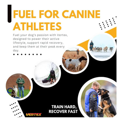 Suplemento Vertex Para Perros Proteina Predigerida Recuperacion Muscular Y Lactancia