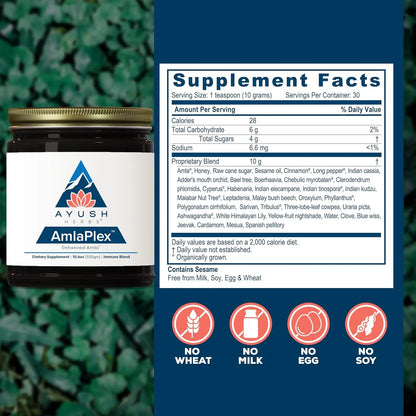 Mermelada Organica Amla Plex Tónico Digestivo Apoyo Inmunologico Vitamina C
