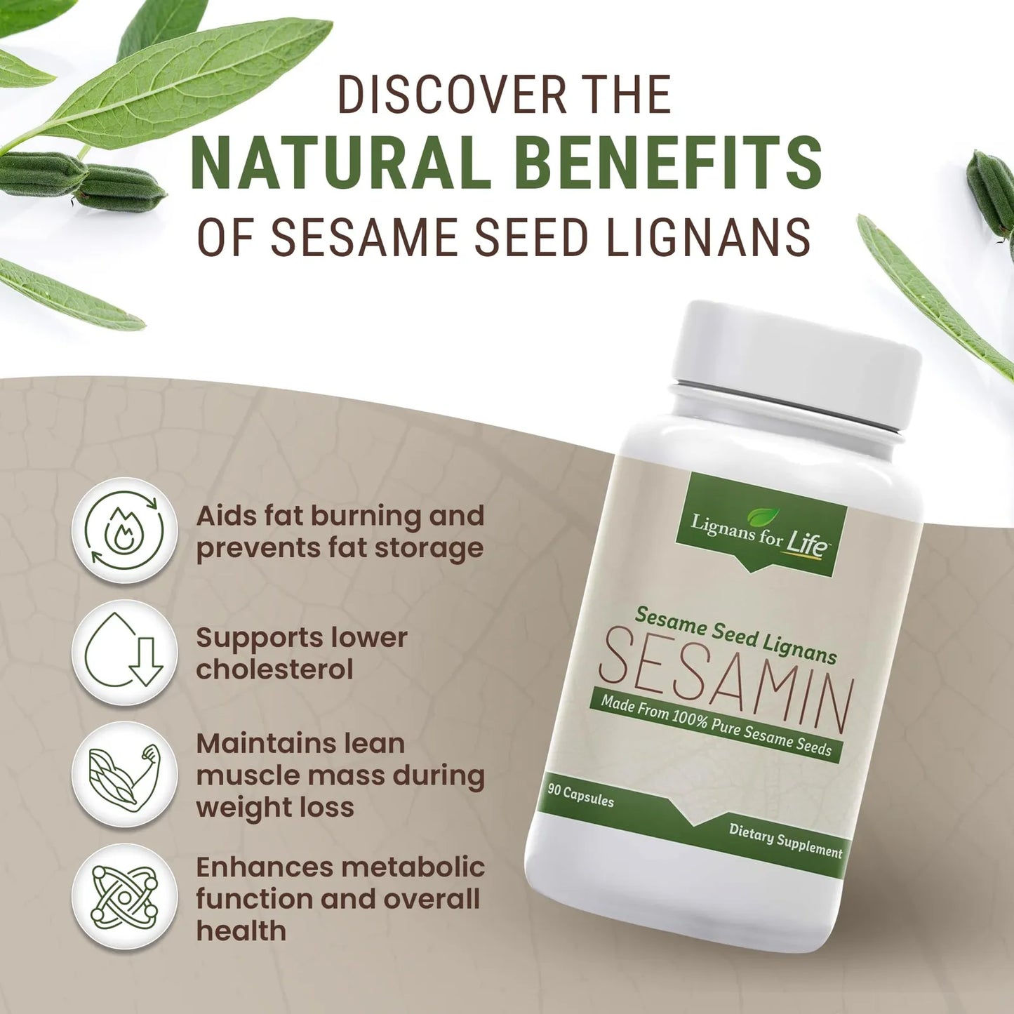 Extracto De Sésamo 540 Mg Con Sesamina Y Sesamolina Suplemento Salud Hepática Y Piel