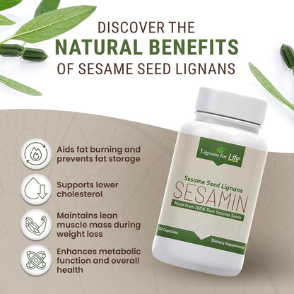 Extracto De Sésamo 540 Mg Con Sesamina Y Sesamolina Suplemento Salud Hepática Y Piel