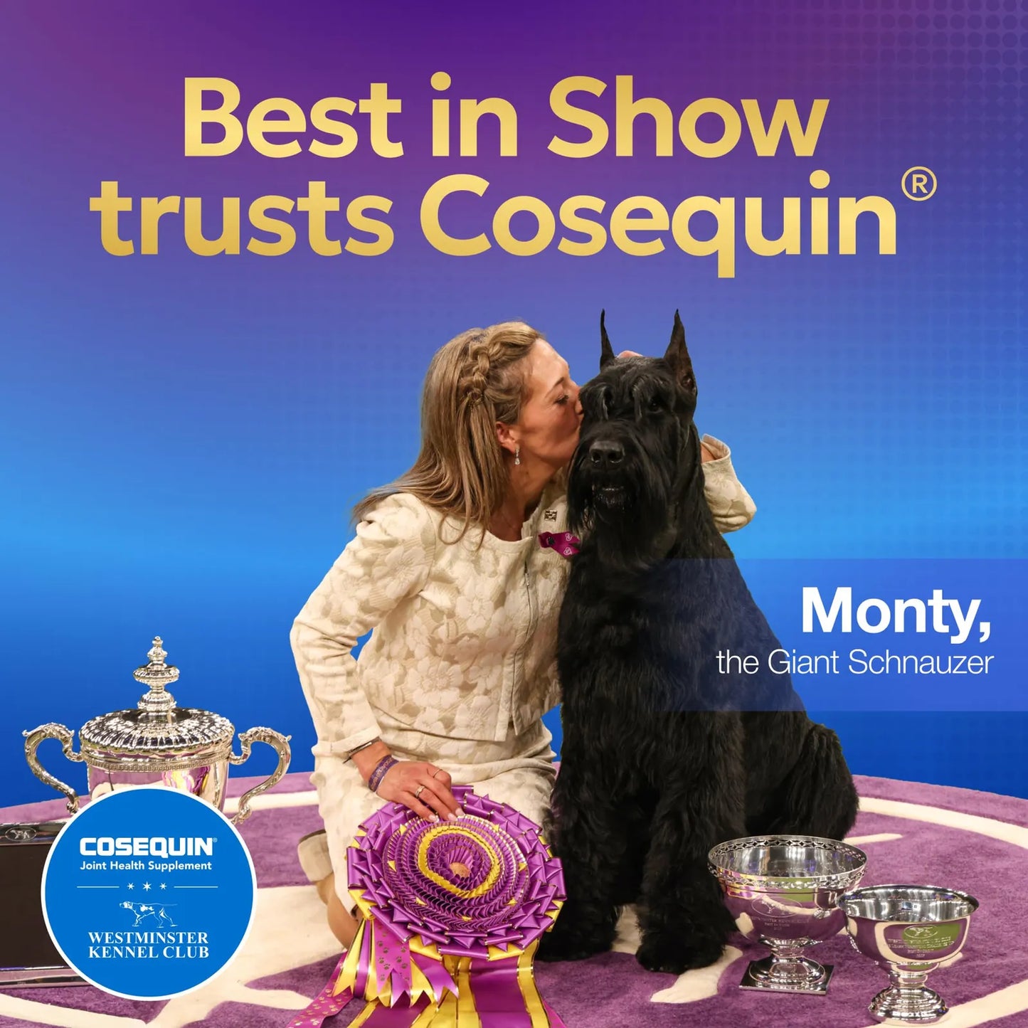 Tabletas Masticables Cosequin Ds Para Perros Salud Articular 132 Unidades