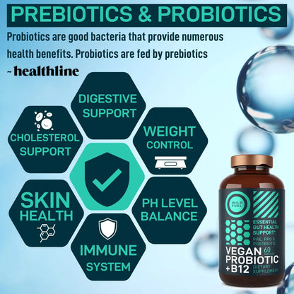 Probiótico Vegano Plus B12 22 Mil Millones CFU Con Prebióticos Salud Intestinal Y Energía
