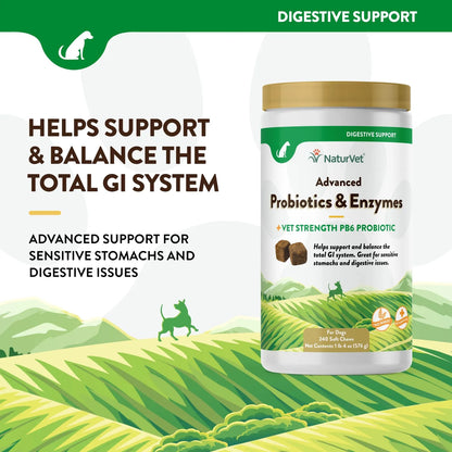Probióticos Avanzados Y Enzimas PB6 Plus Vet Strength Para Perros Y Gatos 240 Masticables