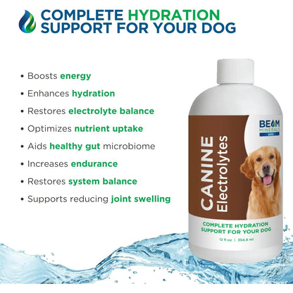 Electrolitos Líquidos Completos Para Perros Beam Minerals 355ml