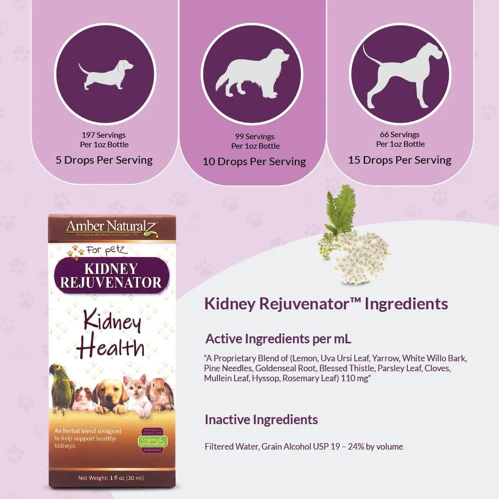Suplemento Herbario Rejuvenecedor Renal Para Mascotas Mezcla Natural Apoyo Renal Perros Gatos