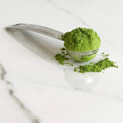 Té Verde Matcha Japonés Orgánico Premium Ceremonial Primera Cosecha Sin Aditivos