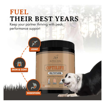 Multivitamínico En Polvo Para Perros Adultos Con Probióticos OptiLife