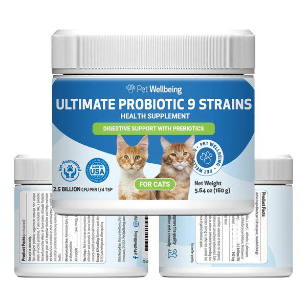 Probióticos Avanzados Para Gatos 9 Cepas Con Prebióticos Salud Intestinal E Inmunidad