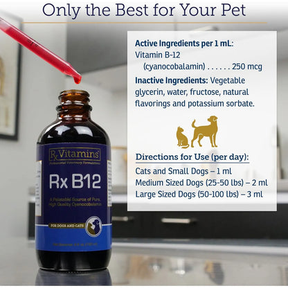 Vitamina B12 Para Perros Y Gatos Apoyo Digestivo Metabólico Y Nervioso