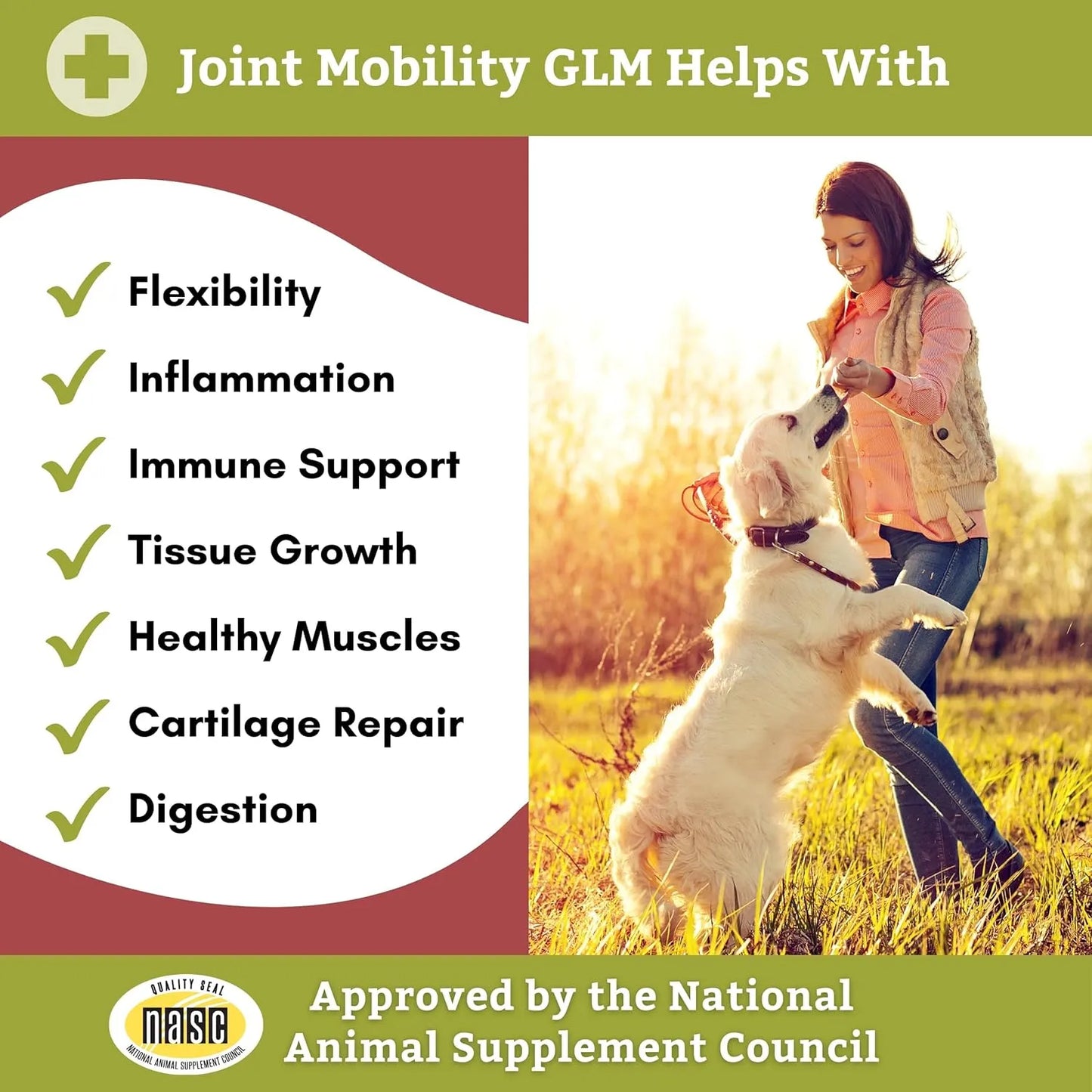 Suplemento Wholistic Pet Organics Movilidad Articular Con Mejillon De Labios Verde Para Perros Alivia Dolor Y Rigidez