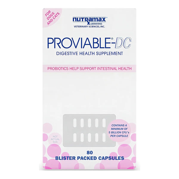 Nutramax Proviable Dc Suplemento Probiótico Para Perros Y Gatos Equilibrio Intestinal