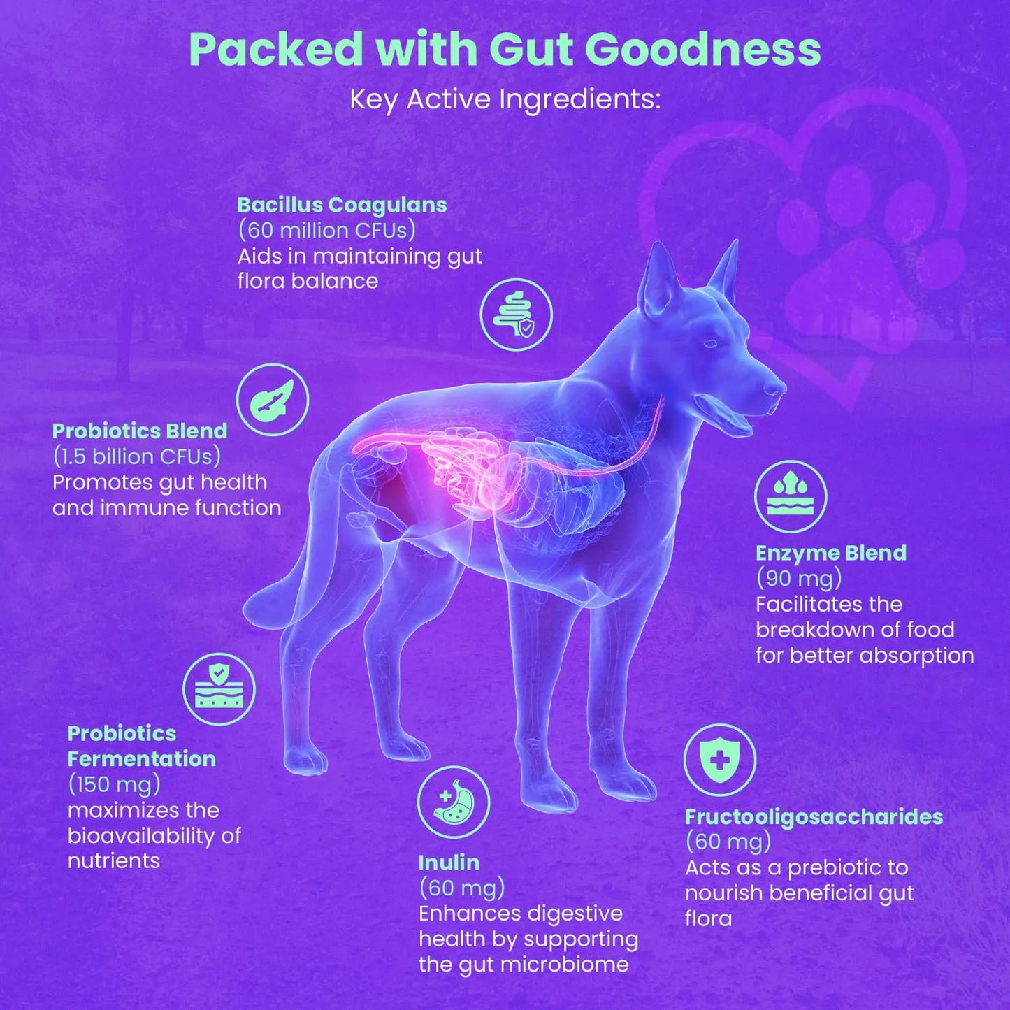 Probióticos Para Perros FREYDELL Alivio Estomacal Golosinas Digestivas