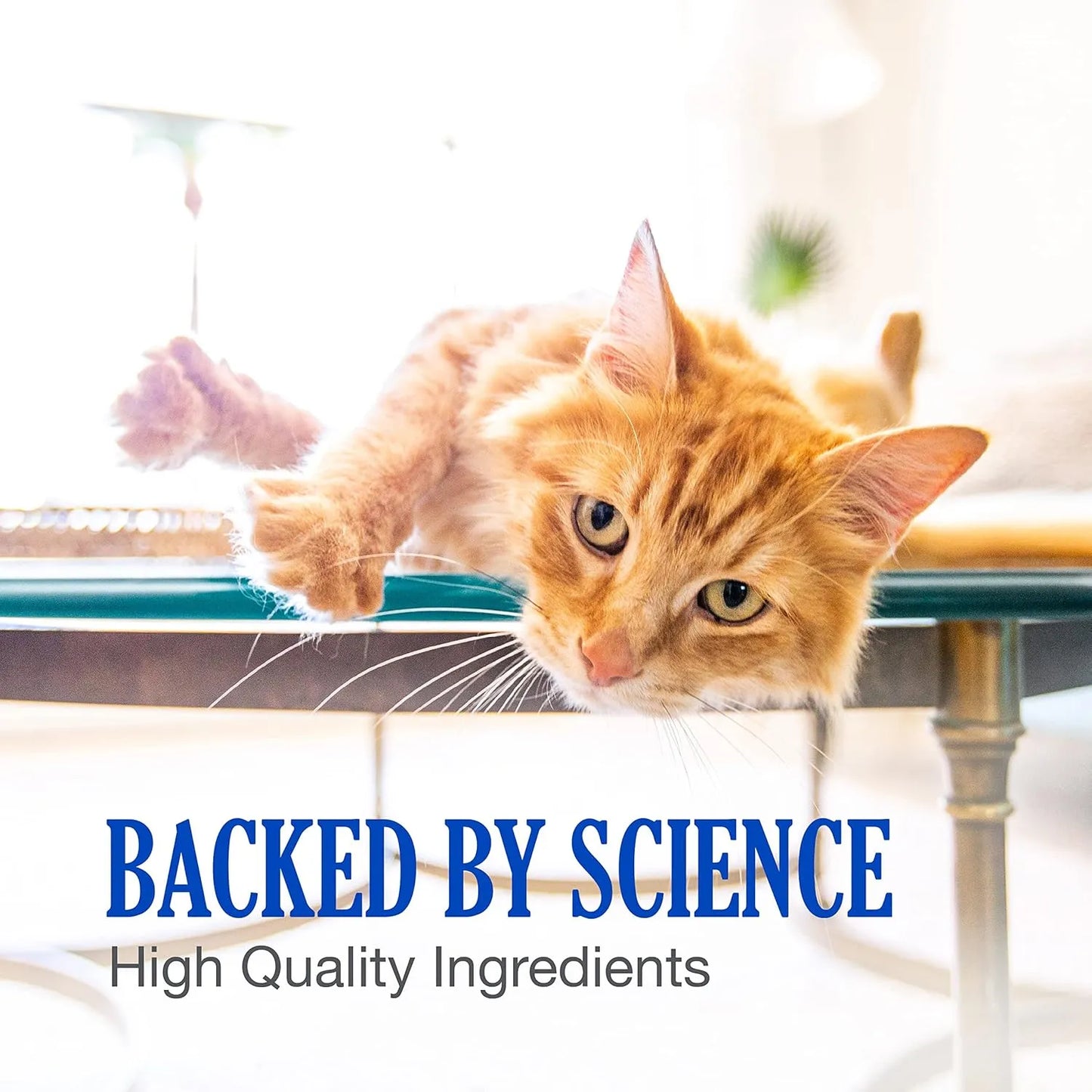 Cobalequin B12 Suplemento Para Gatos Y Perros Pequeños 45 Tabletas Nutramax