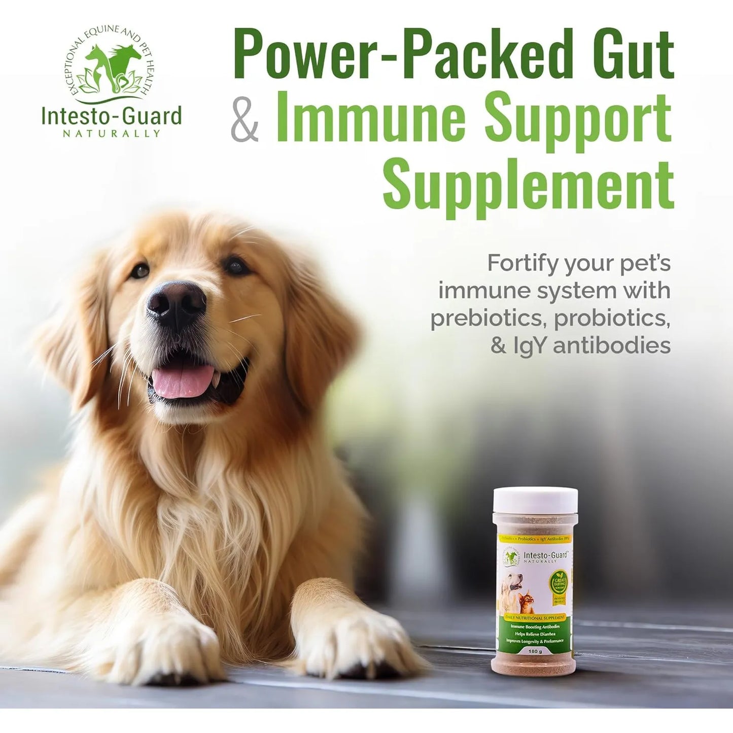 Probiótico En Polvo Para Perros Y Gatos Intesto Guard Apoyo Inmunológico Y Digestivo
