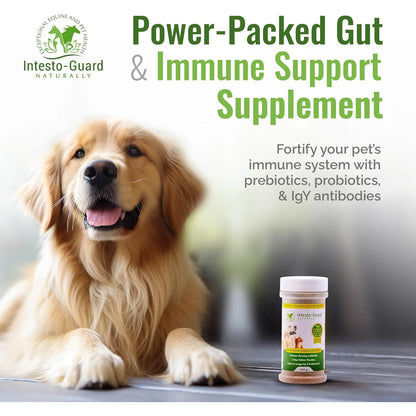 Probiótico En Polvo Para Perros Y Gatos Intesto Guard Apoyo Inmunológico Y Digestivo