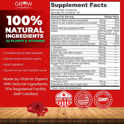Suplemento Cardiaco Natural 22 Hierbas Vitaminas Salud Cardiovascular Trigliceridos