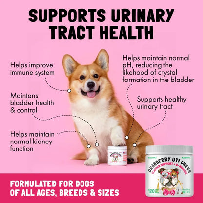 Masticables De Arándano Para Perros Apoyo Vejiga D-manosa Tr