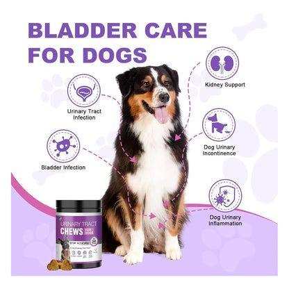 Masticables De Arándano Para Perros 200 Unidades Salud Urinaria Sabor Pollo