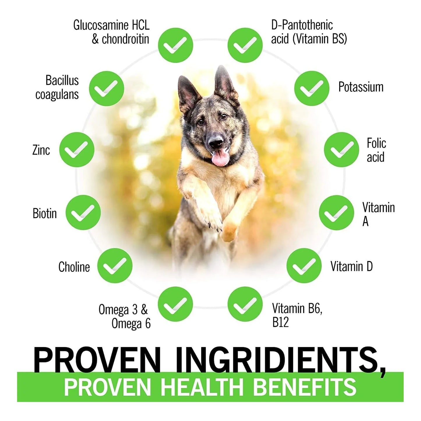 Multivitaminas Para Perros 4 En 1 Apoyo Articulaciones Salud Inmunológica Y Más