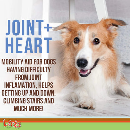 Aceite De Pescado Para Perros Apoyo Articular Y Cardiovascul Con Glucosamina Y Omega 3