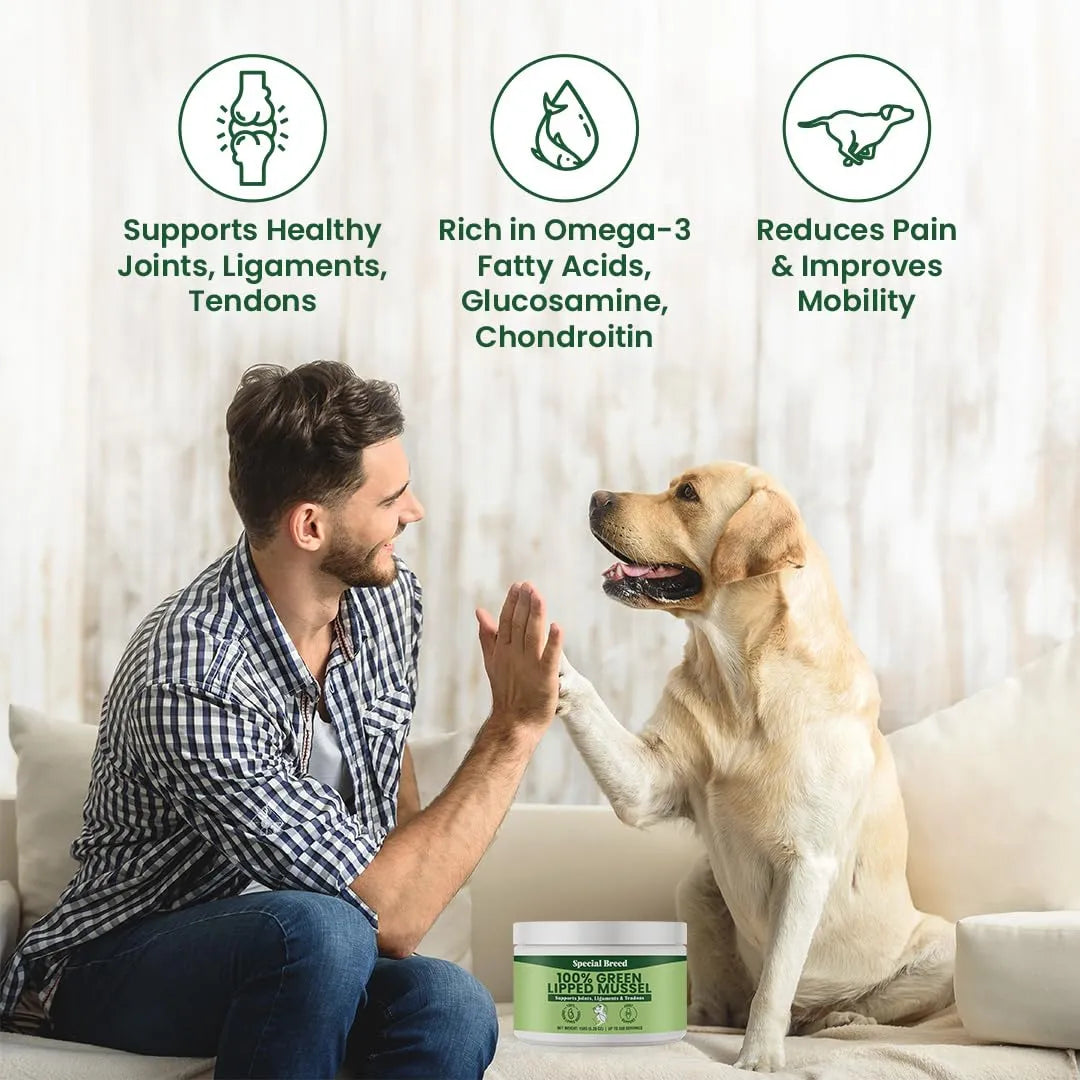 Mejillones De Labios Verdes En Polvo Para Perros Y Gatos Apo Nutricion Premium