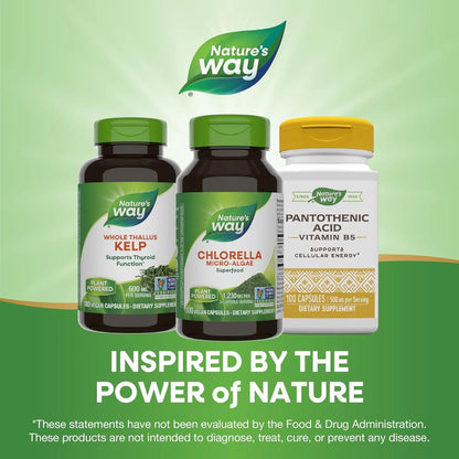 Chlorella Microalgas Superalimento Vegano 100 Capsulas Antioxidante