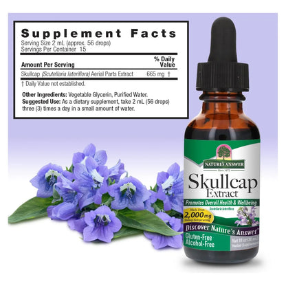 Extracto Liquido De Hierba Skullcap 30ml Apoyo Natural Sistema Nervioso