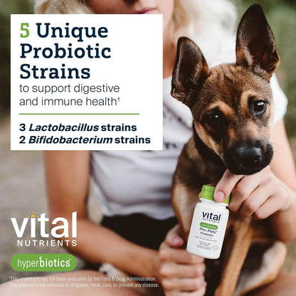 Probióticos Para Perros Y Gatos Tabletas Masticables Pequeñas Hyperbiotics Pro Pets
