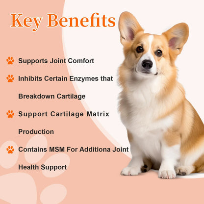 Golosinas Para Perros Con Glucosamina Y Condroitina Para Articulaciones Wiffypets 90 Unidades
