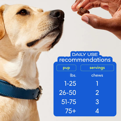 Masticables Omega 3 Para Piel Y Pelaje De Perro Brillo Saludable 120 Chews