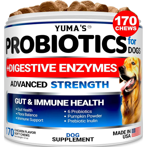 Probióticos Masticables Digestivos Para Perros 170 Unidades Salud Intestinal