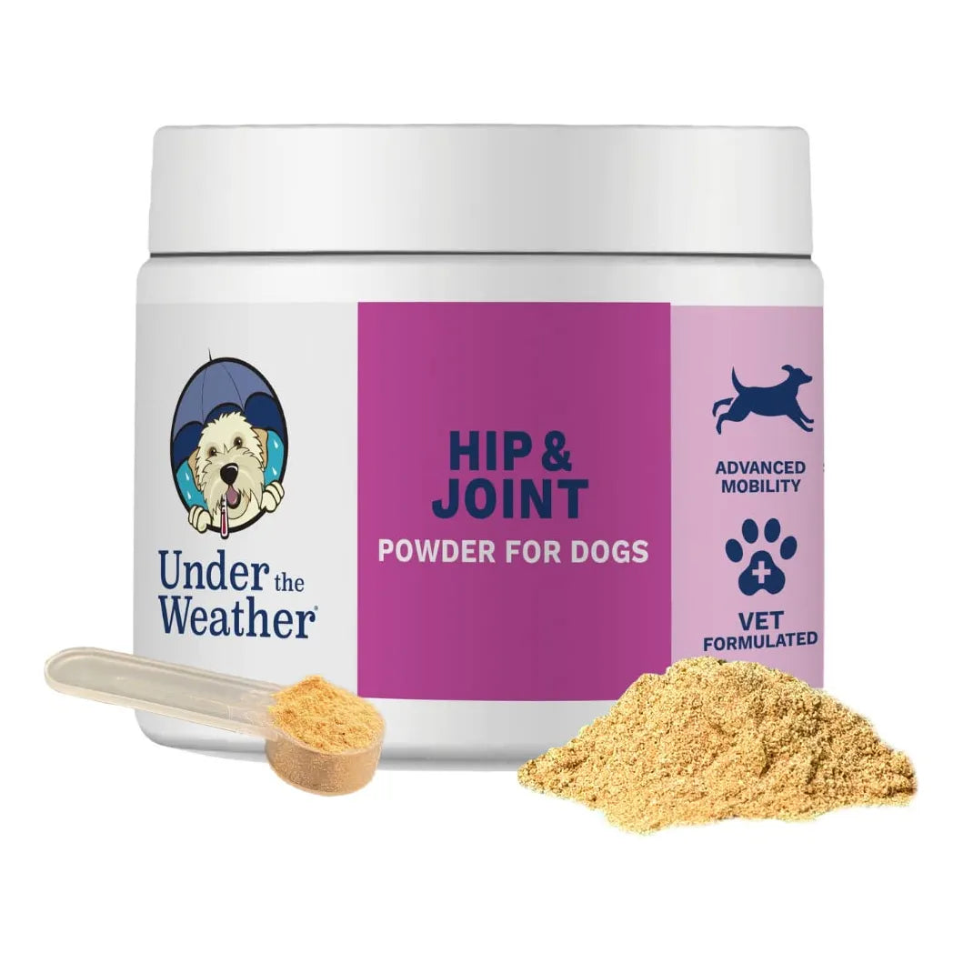 Polvo Para Articulaciones Caderas Perros Glucosamina Condroitina Antioxidantes