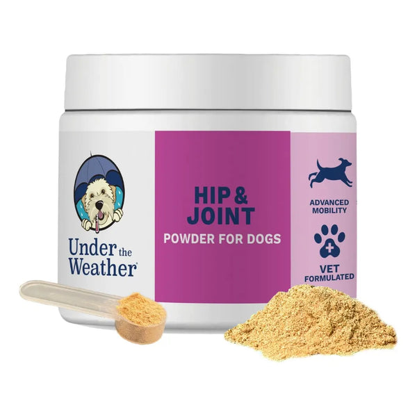 Polvo Para Articulaciones Caderas Perros Glucosamina Condroitina Antioxidantes