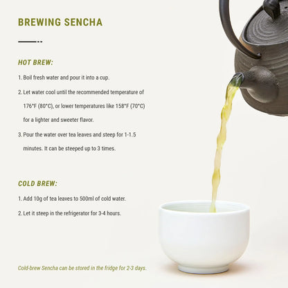 Té Verde Orgánico Sencha Con Matcha De Kioto En Lata Hermética 100g