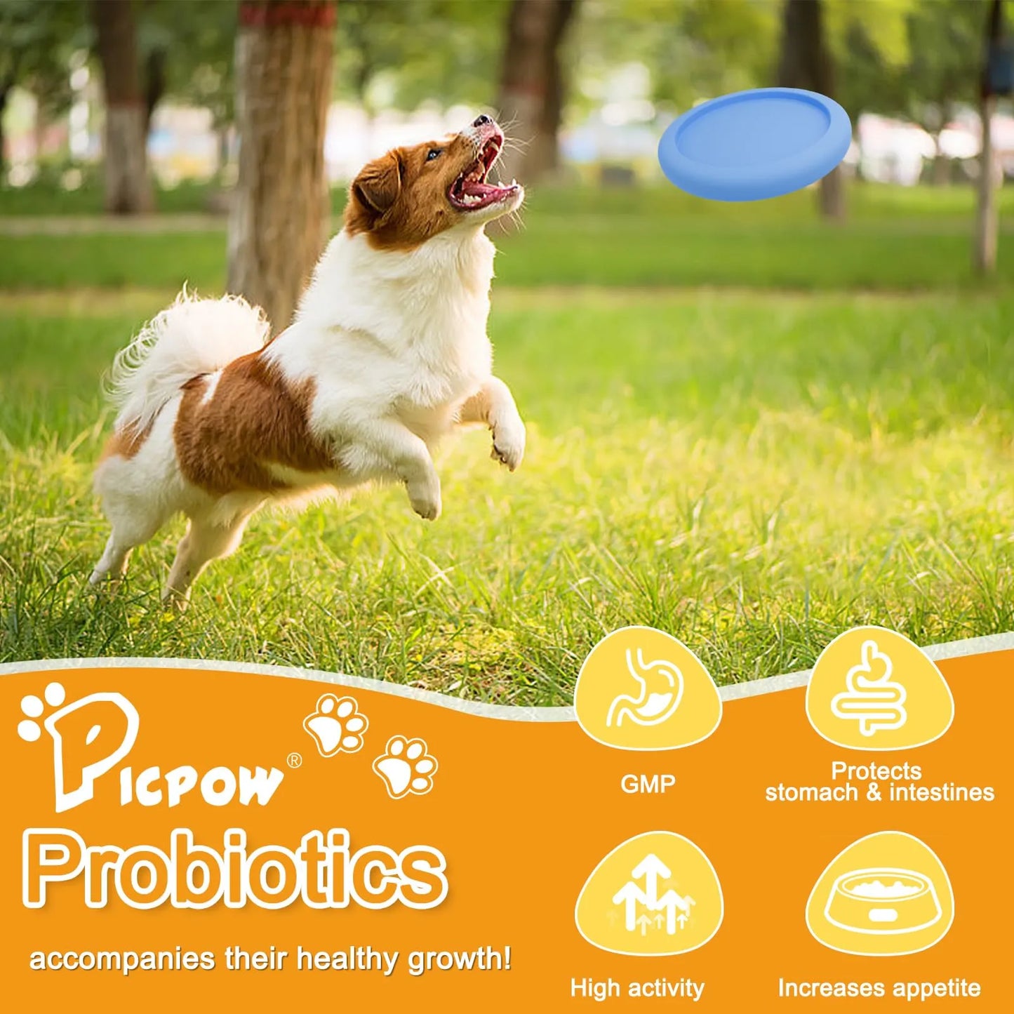 Probióticos Para Perros Con Prebióticos Enzimas Digestivas Y Calabaza Salud Intestinal Y Pelaje Brillante