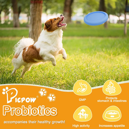 Probióticos Para Perros Con Prebióticos Enzimas Digestivas Y Calabaza Salud Intestinal Y Pelaje Brillante