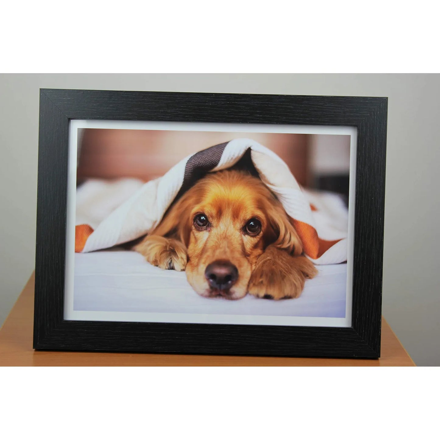 Papel Fotográfico Brillante 50 Hojas Tamaño Carta 240 Gsm Secado Instantáneo