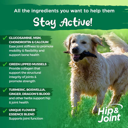 Suplemento Natural Para Articulaciones De Perros Con Glucosamina Y MSM 60 Tabletas