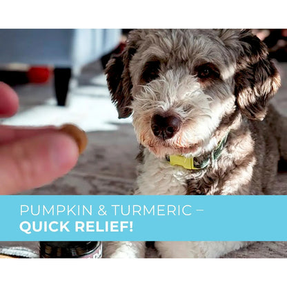Golosinas Masticables Probióticas Con Cúrcuma Omega 3 Y Fibra Para Perros