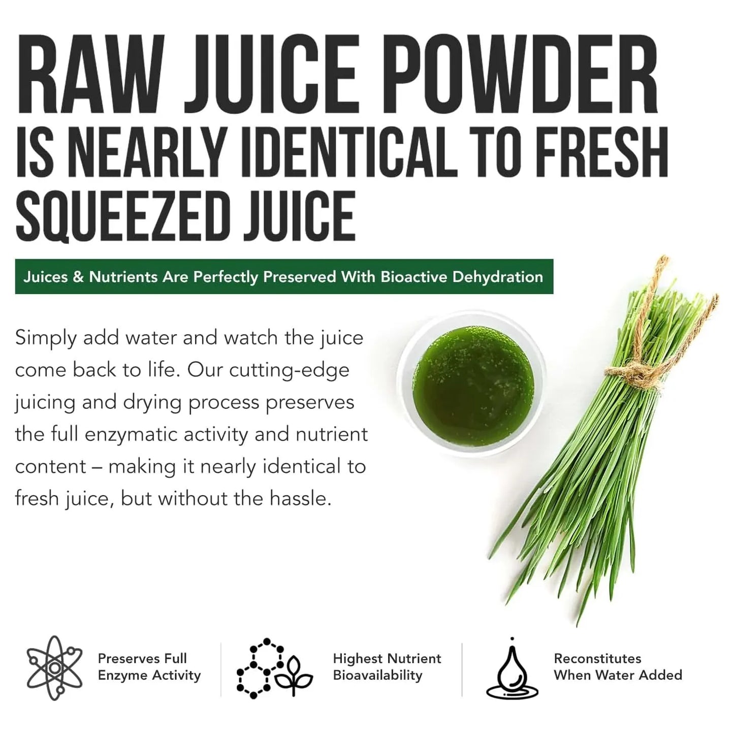 Polvo De Jugo De Hierba De Cebada Orgánica Cruda Prensado En Frío Energizante Y Alcalinizante