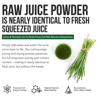 Polvo De Jugo De Hierba De Cebada Orgánica Cruda Prensado En Frío Energizante Y Alcalinizante